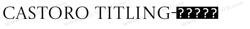 Castoro Titling字体转换